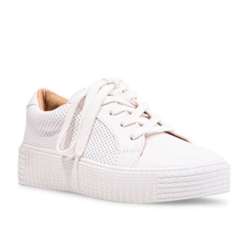 Steve Madden Sneakers